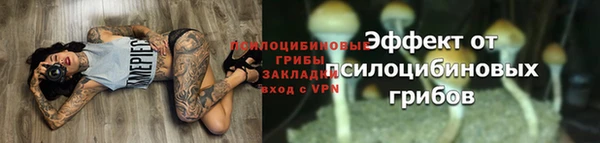 стаф Медвежьегорск