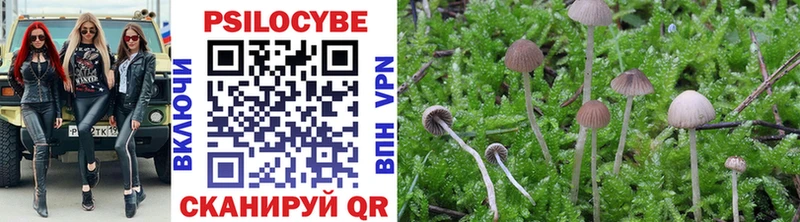 Псилоцибиновые грибы MAGIC MUSHROOMS  Купить где  Мценск 